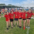 Festival BMV 2024